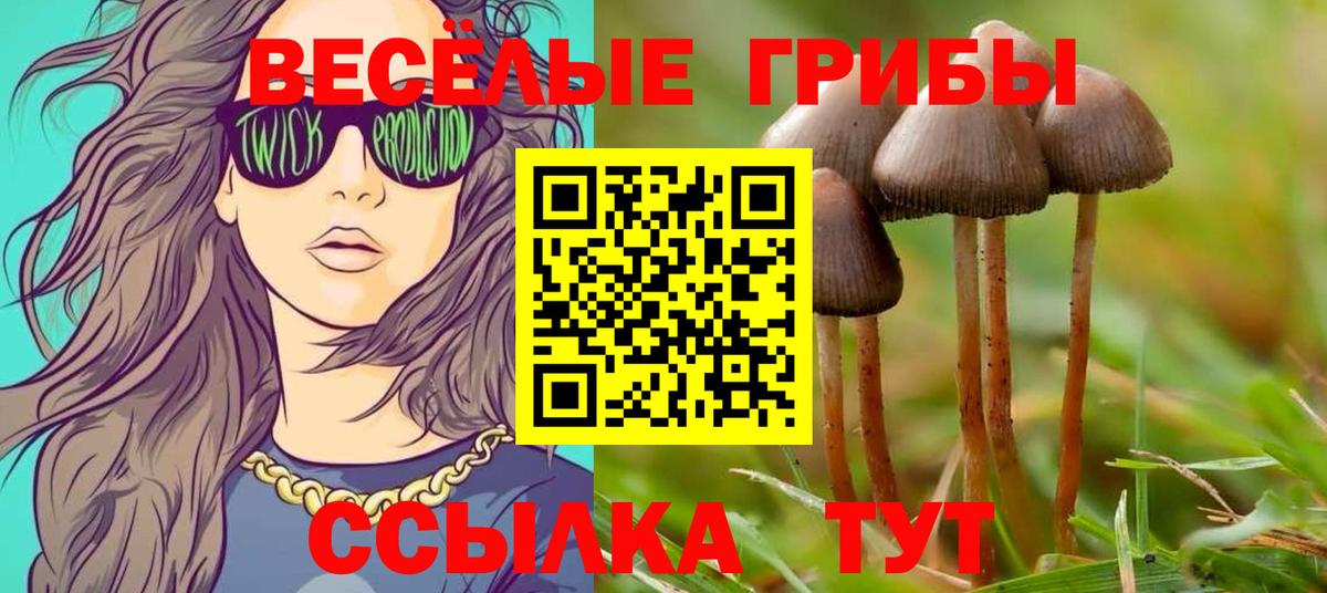 Псилоцибиновые грибы Magic Shrooms Братск