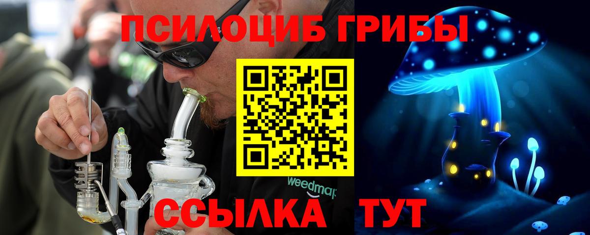 Галлюциногенные грибы GOLDEN TEACHER  Вход с VPN  Псилоцибиновые грибы мицелий  Братск 